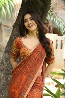Nabha Natesh Interview Stills